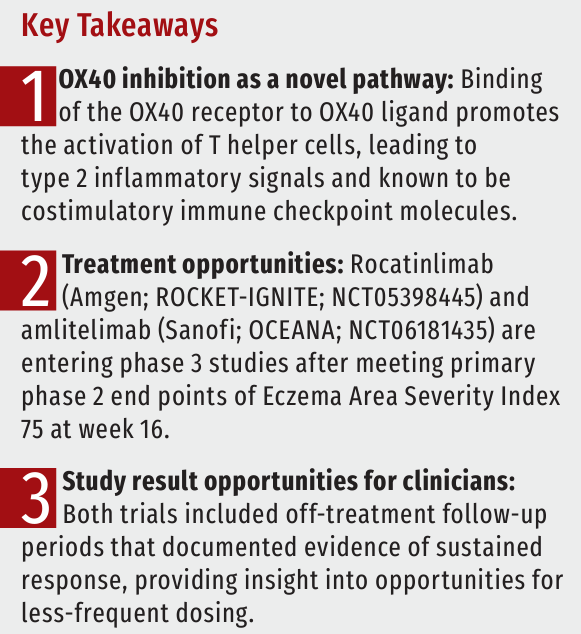 key article takeaways graphic