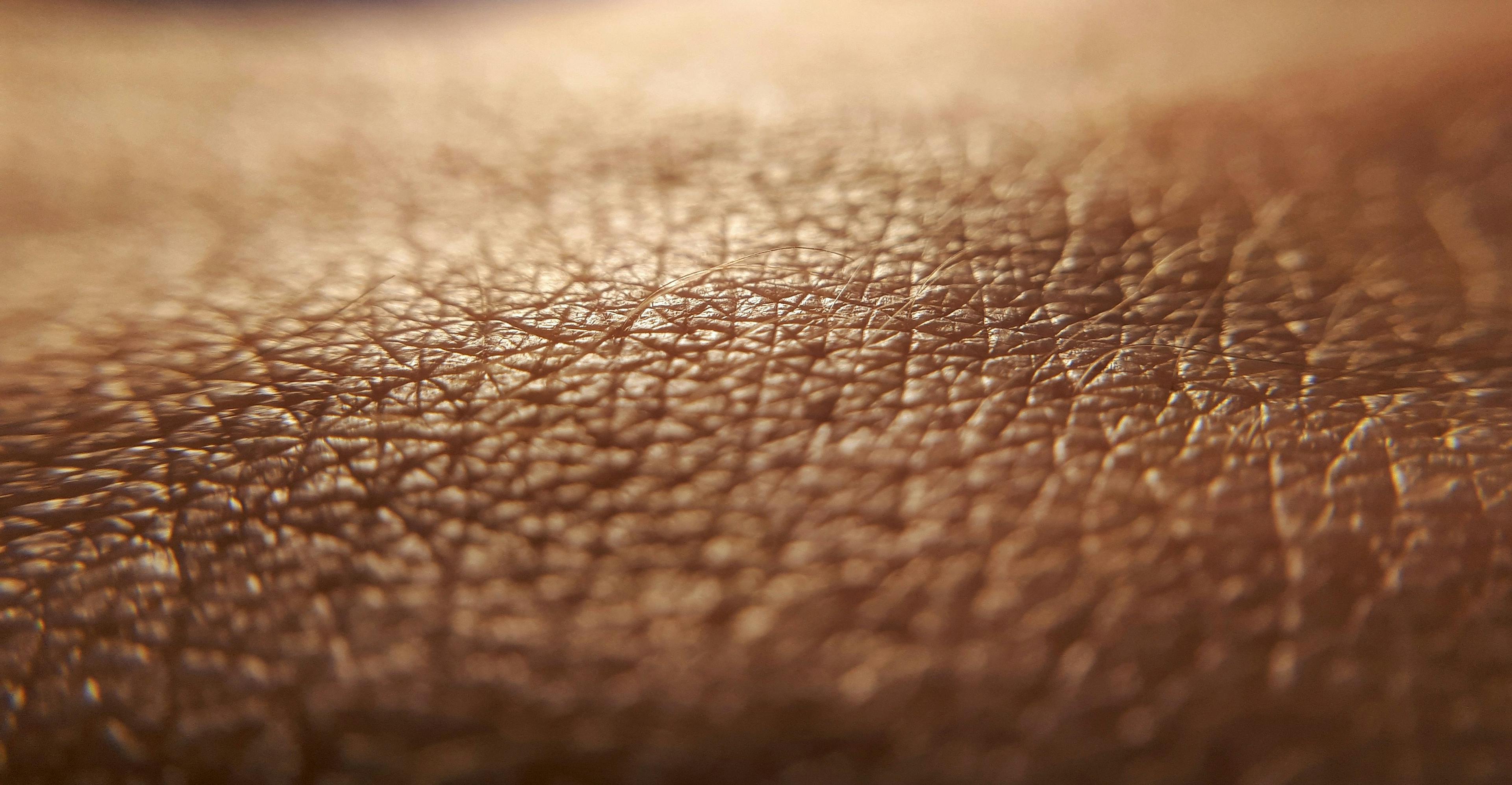 Close up of skin | Image Credit: © daily_creativity - stock.adobe.com