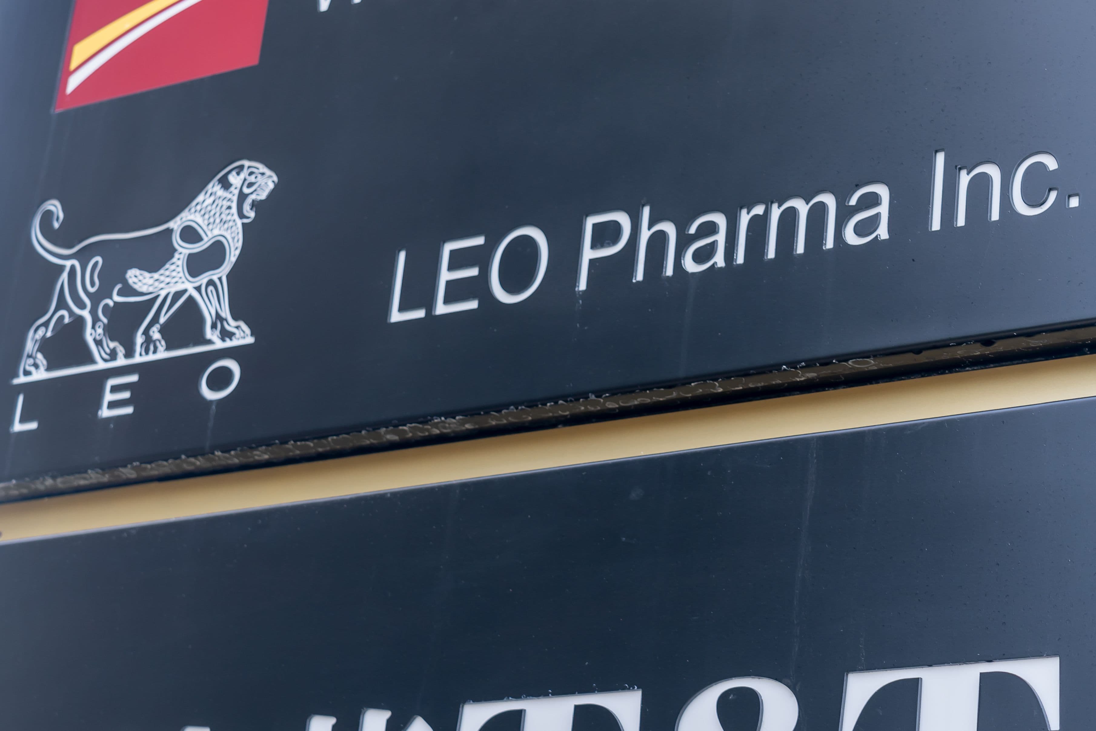 LEO Pharma's Delgocitinib Launches for Chronic Hand Eczema in Germany