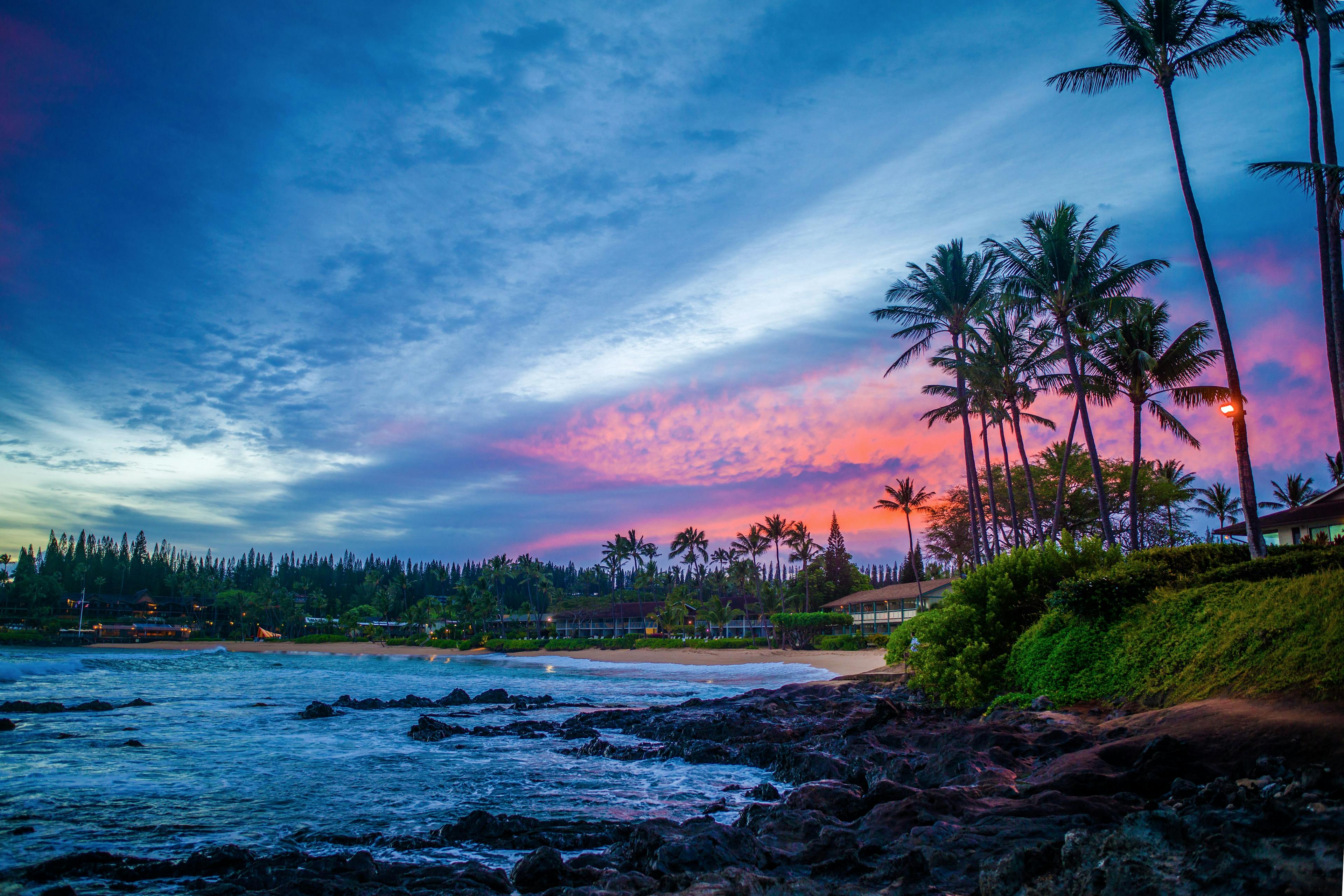 Winter Clinical Hawaii Dermatology Conference